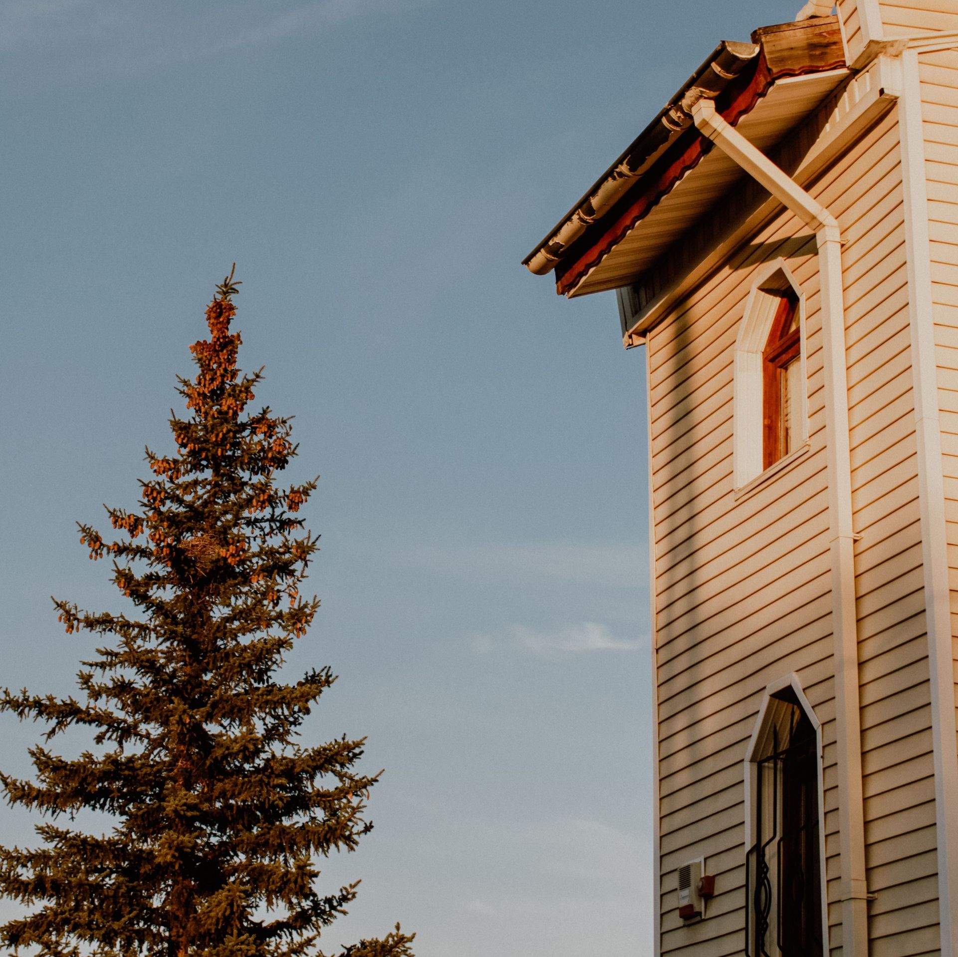 A suburban house with a conifer tree captured during a warm sunset, highlighting architectural details.
