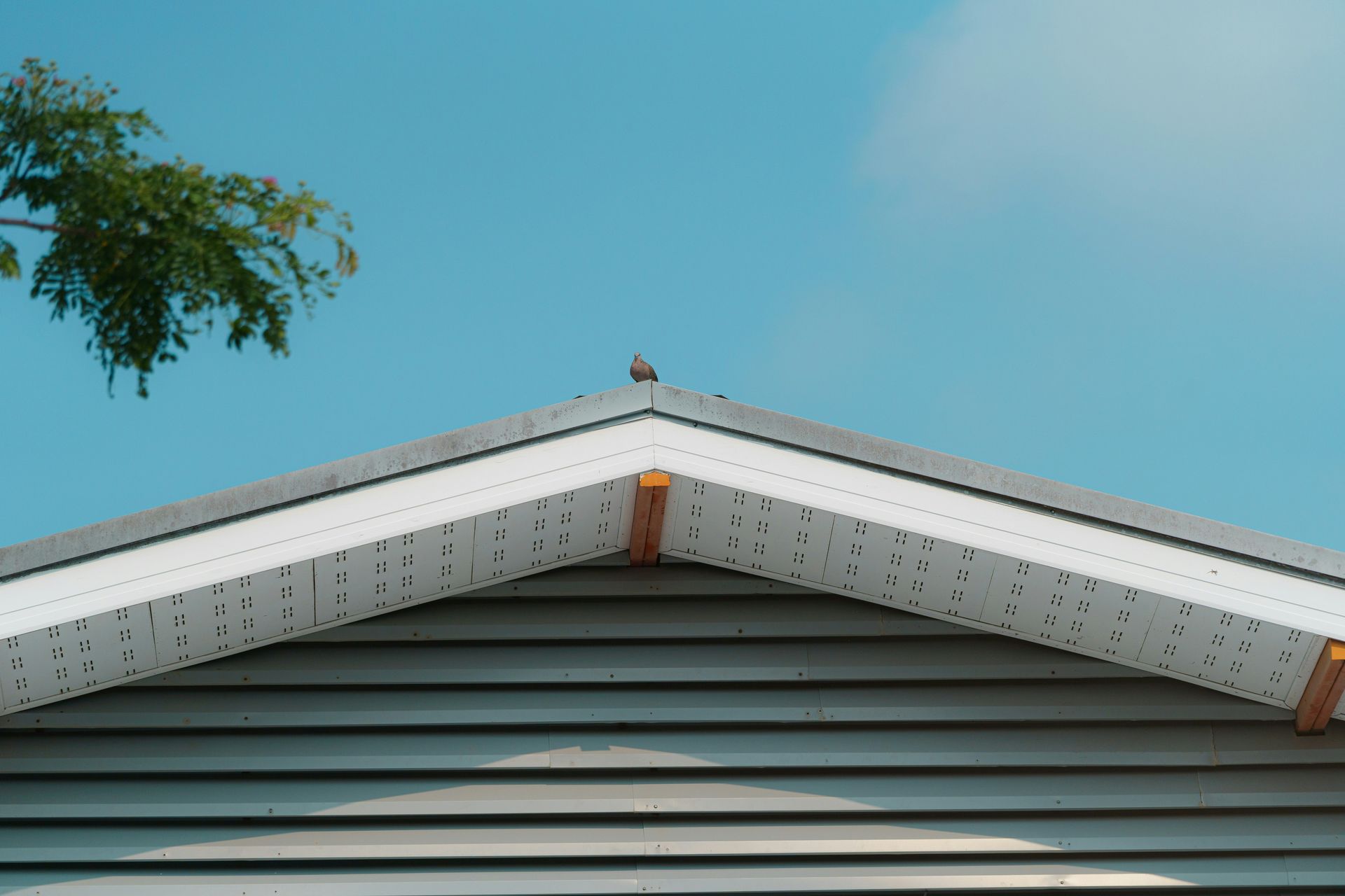 a bird is sitting on the roof of a house